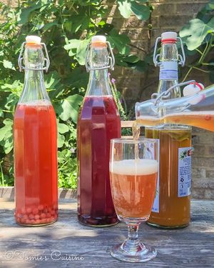 My kombucha journey: homemade recipe & tips