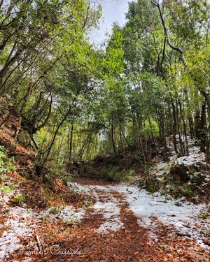 Nakasendo Day 7/19: Ota to Hosokute through Gifu Mountains