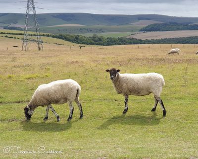 A short trip around Lewes, England