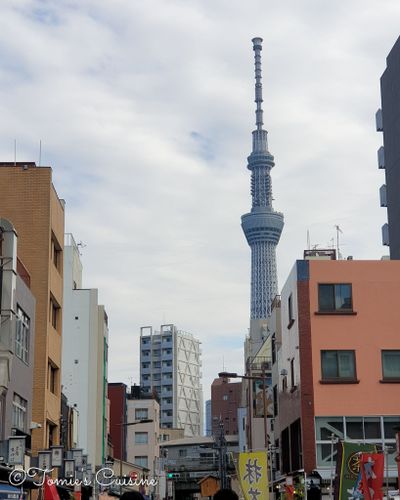 Travel tips for Japan - What to pack for a two-week trip?