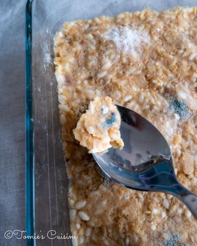 Homemade miso update: after 27 days