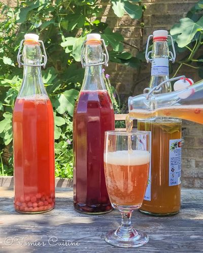 My kombucha journey: homemade recipe & tips