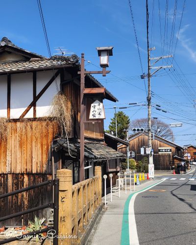 Nakasendo Day 2/19: Kusatsu to Echigawa in Shiga Prefecture