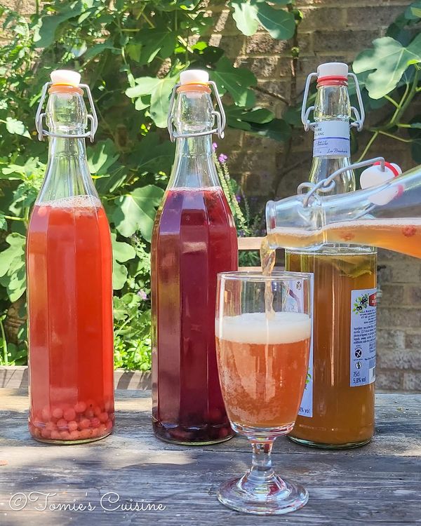 My kombucha journey: homemade recipe & tips