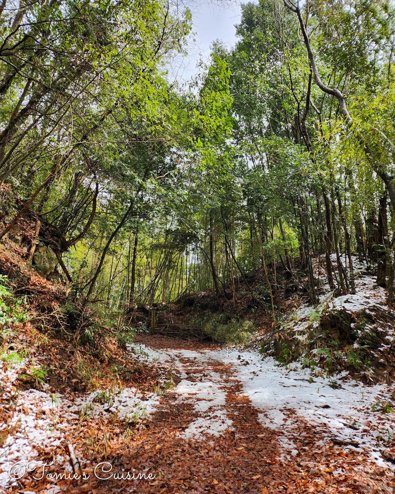 Nakasendo Day 7/19: Ota to Hosokute through Gifu Mountains