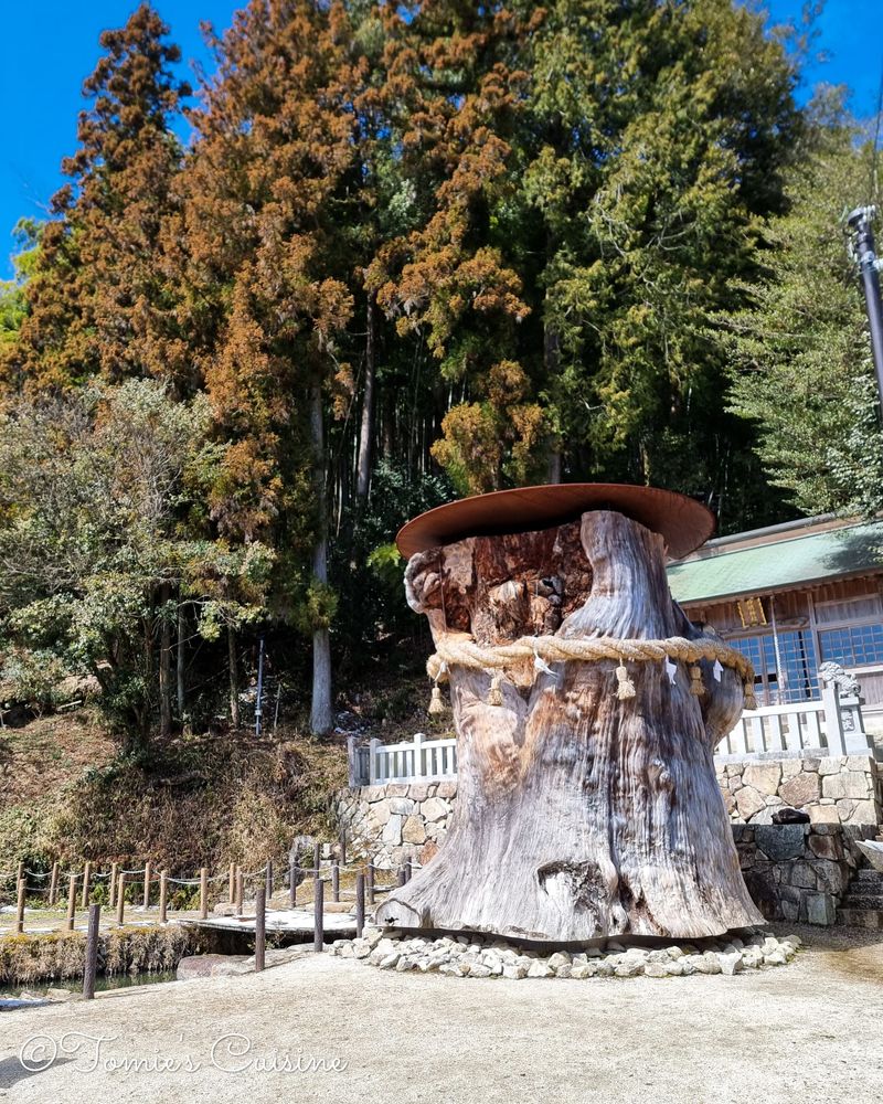 Nakasendo Day 8/19: Hosokute to Ooi via Biwa Pass