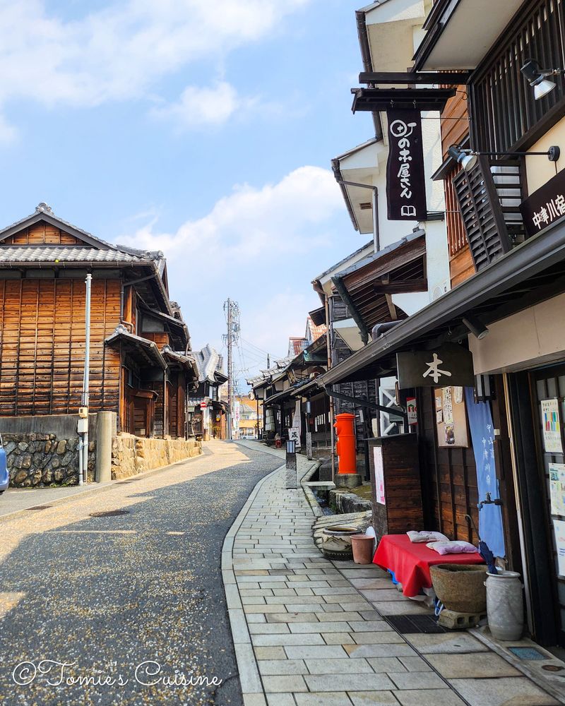 Nakasendo Day 9/19 (Part 1): Ooi to Nakatsugawa, Gifu
