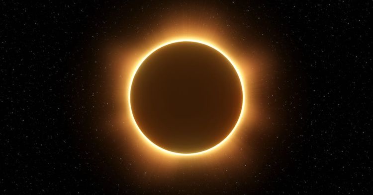 The Disgruntled Researcher and the Dead Man's Switch: Nightmare-Eclipse's Zero-Day Campaign- 184