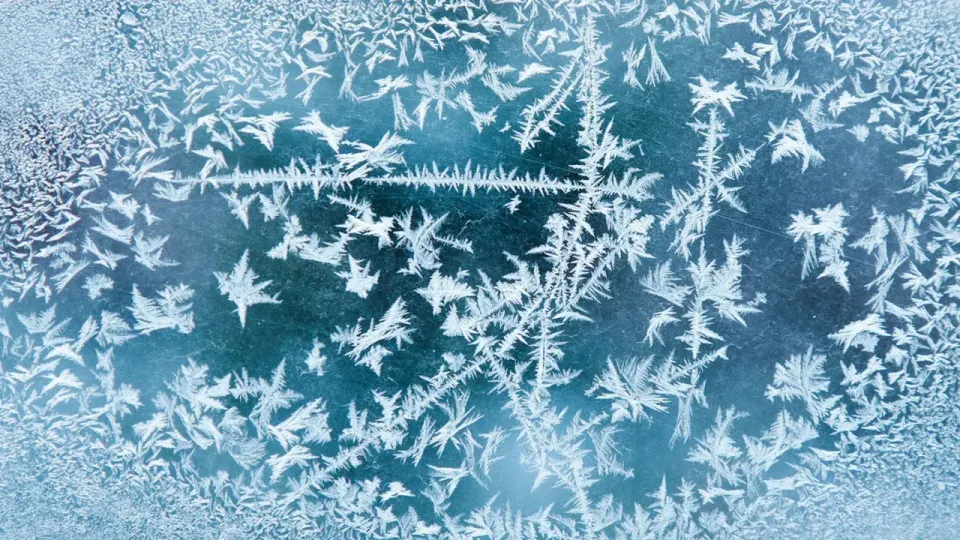 Patient by Design: FrostyNeighbor's Return and the Human Operator as Evasion Mechanism- 205