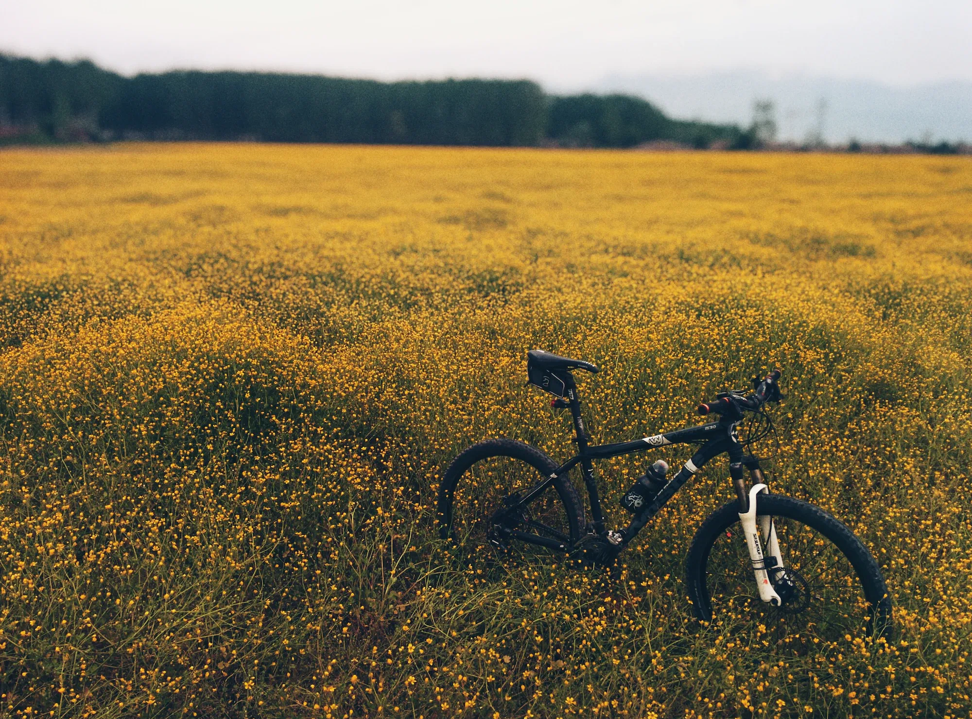 Innovative bike technologies and e-bike tests
