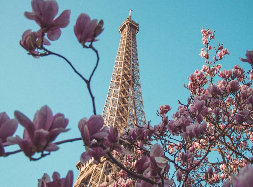 10 greenest cycling destinations to enjoy spring blossoms