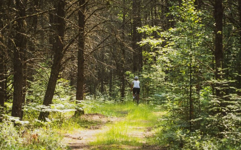 Welches gravel bike passt zu mir?