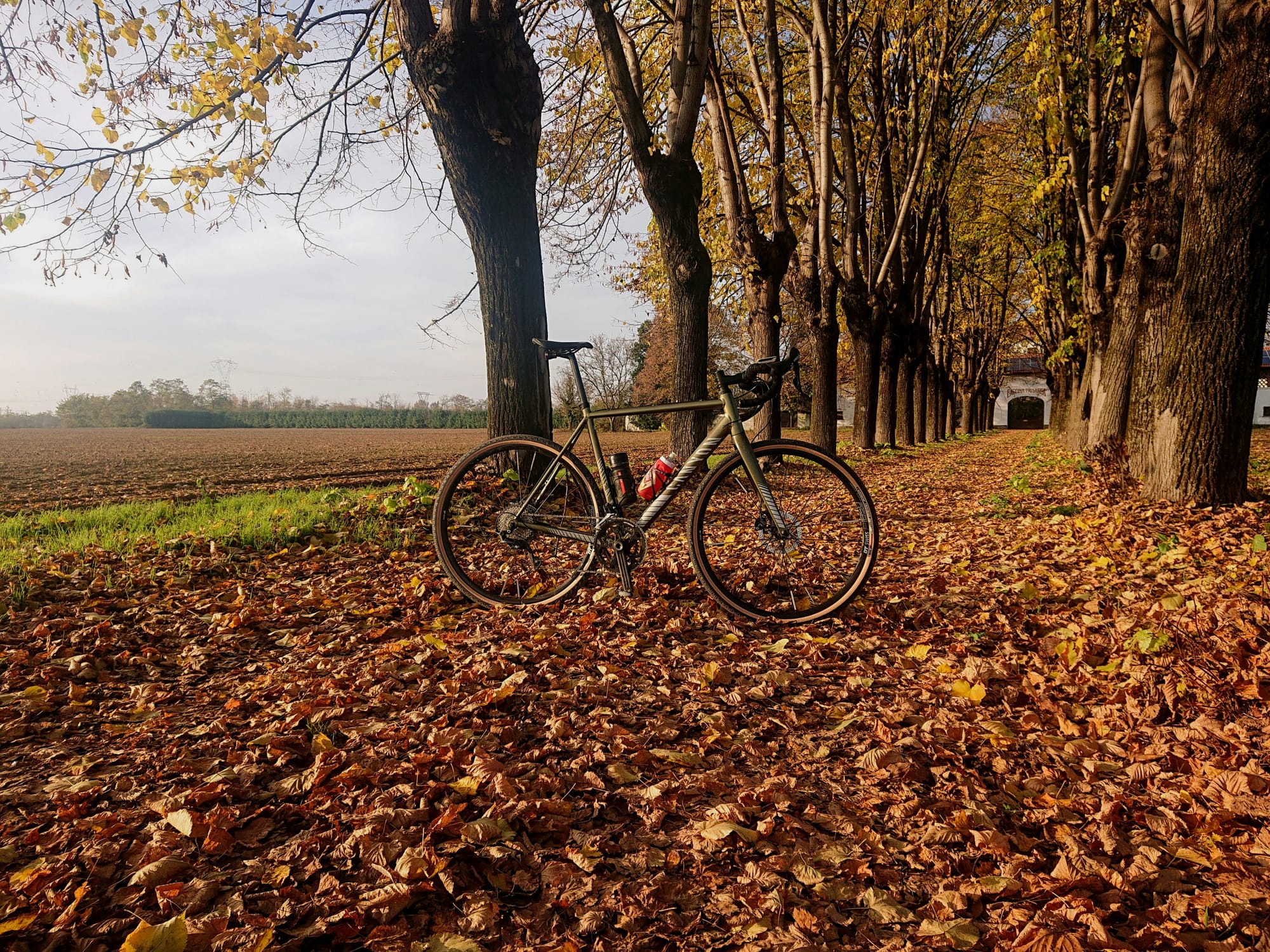 ¿Qué es una bicicleta de gravel?