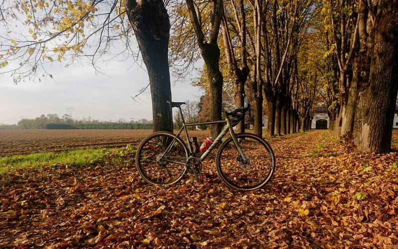 Gravel Bike Damen test