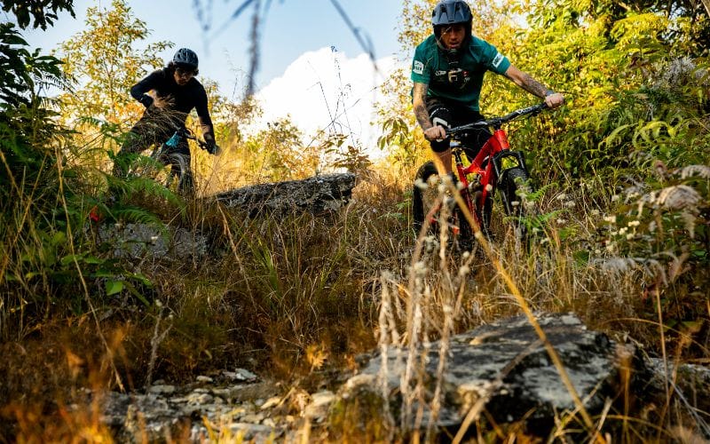 Which mtb is for you?