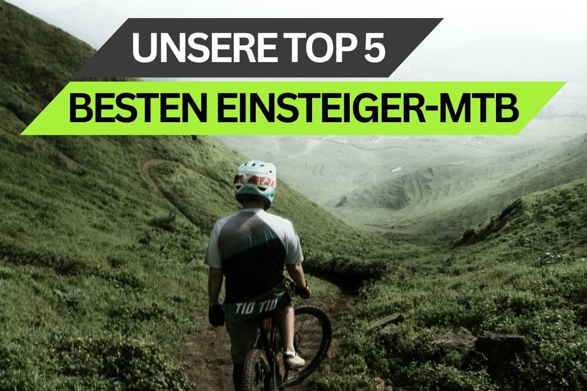 Beste Einsteiger-Mountainbikes: Unsere Top 5 für 2025