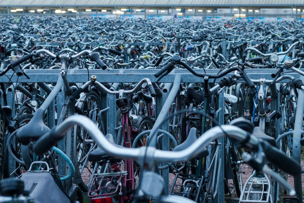 the Bicycle Blue Book