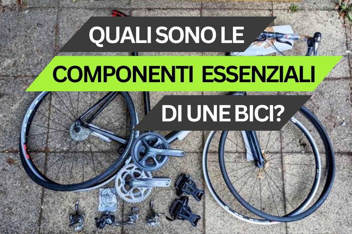 Quali sono le parti di una bicicletta? Guida ai essenziali componenti di una bici