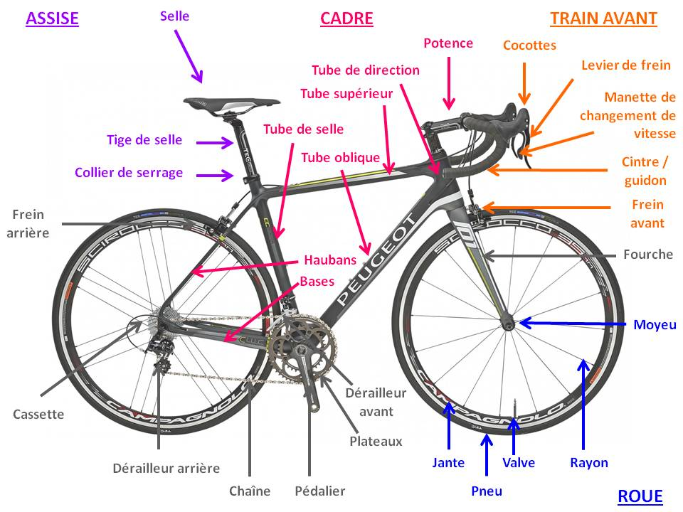 Guide des pièces de vélo