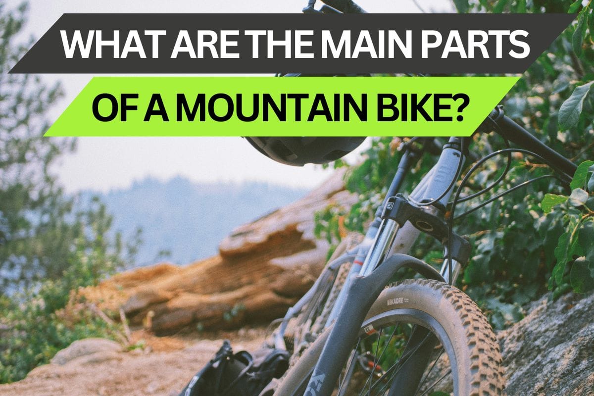 What are the main mountain bike parts? Check out our guide to mountain bike components!