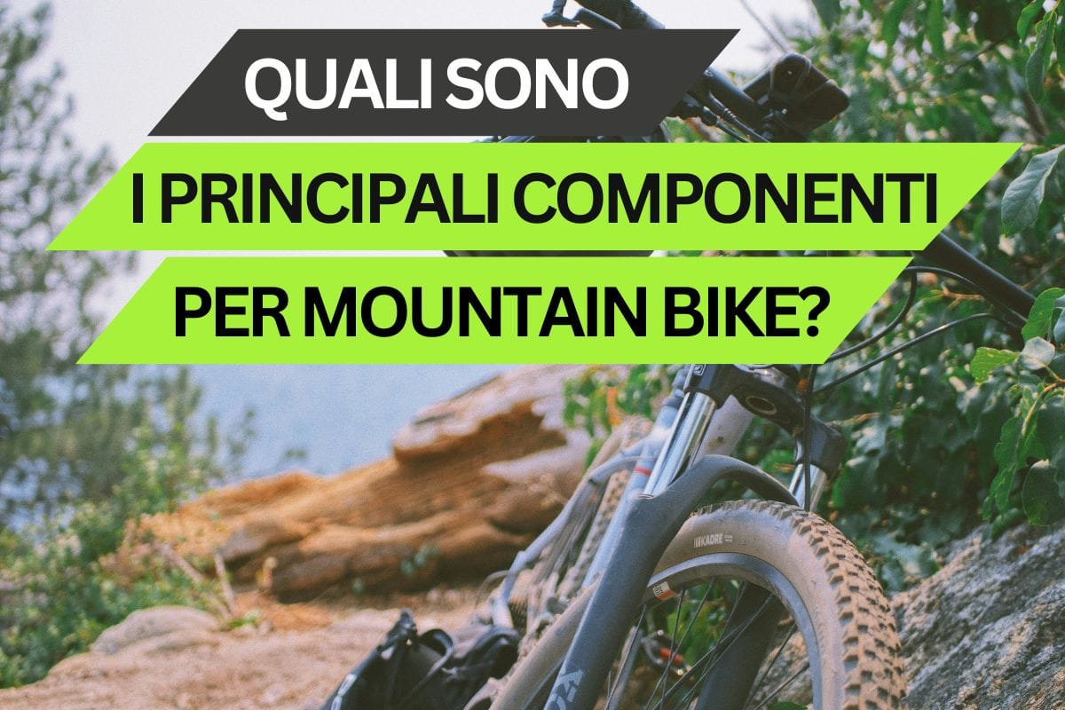 Quali sono i principali componenti per mountain bike?