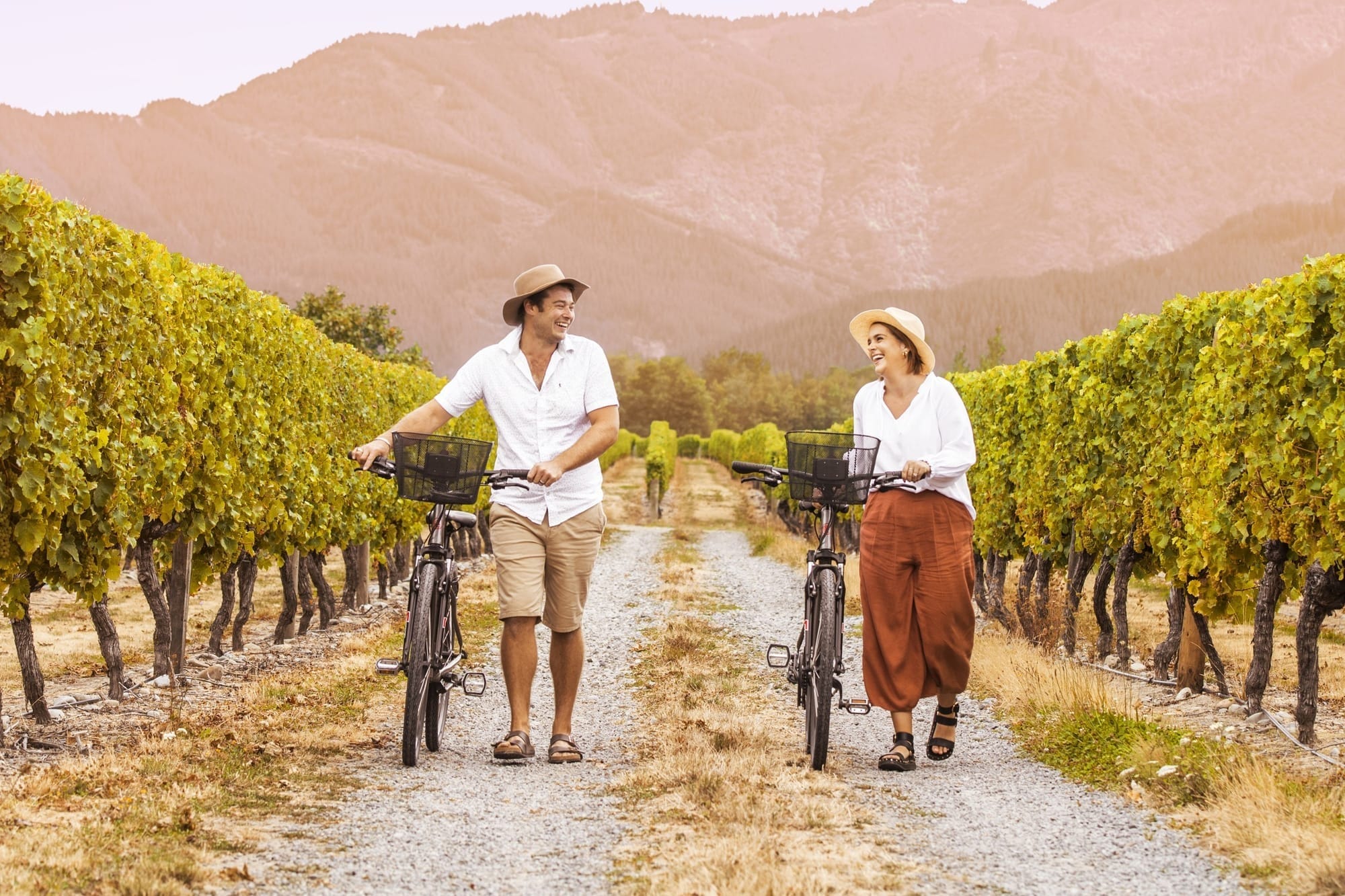 Cycling adventures along most picturesque vineyard paths in the U.S.
