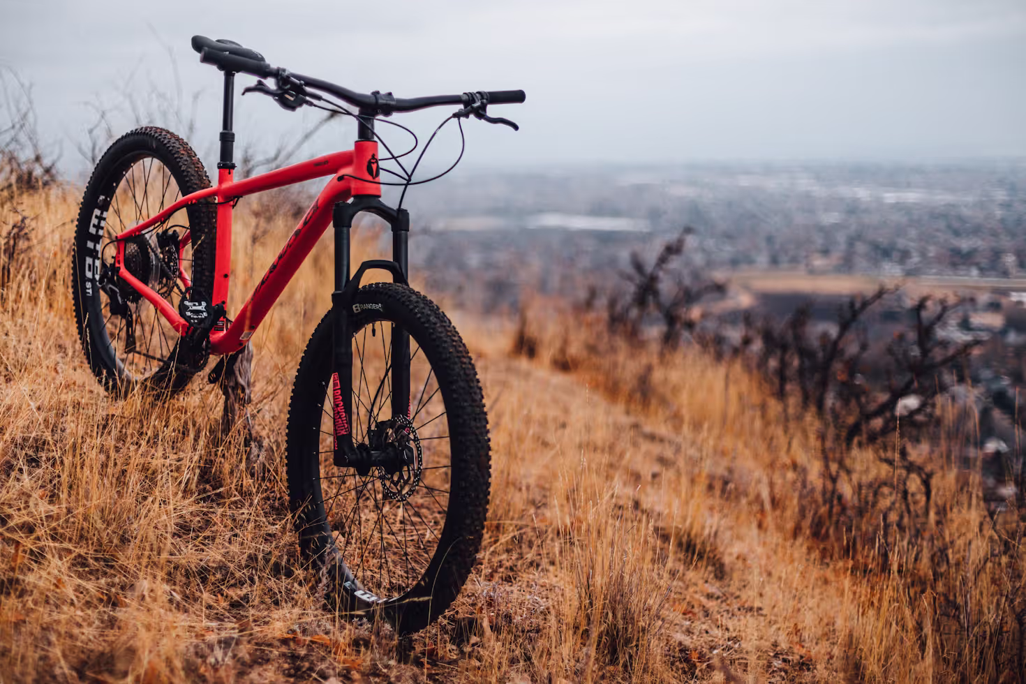best bike selling websites