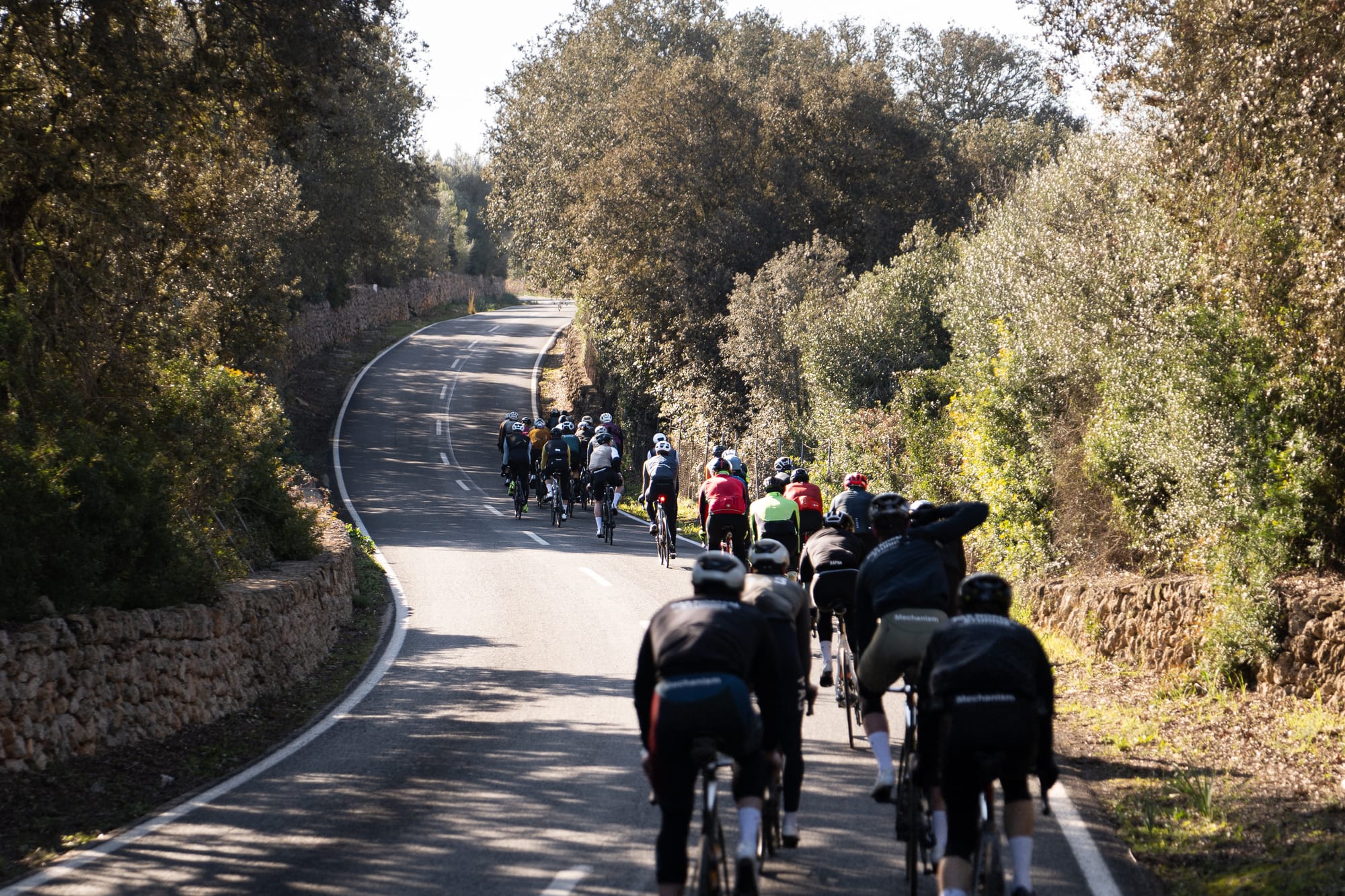 A group of cyclists riding together on a sunny, scenic road, representing group rides in beautiful weather during Spanish winter.