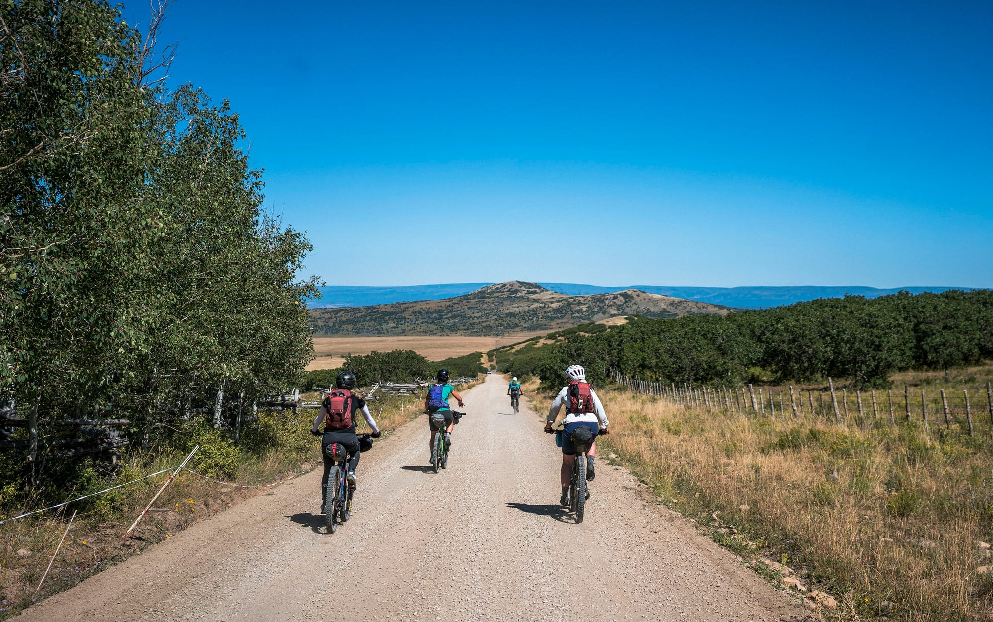 Top 10 Mountains in the U.S. for High-Elevation Cycling
