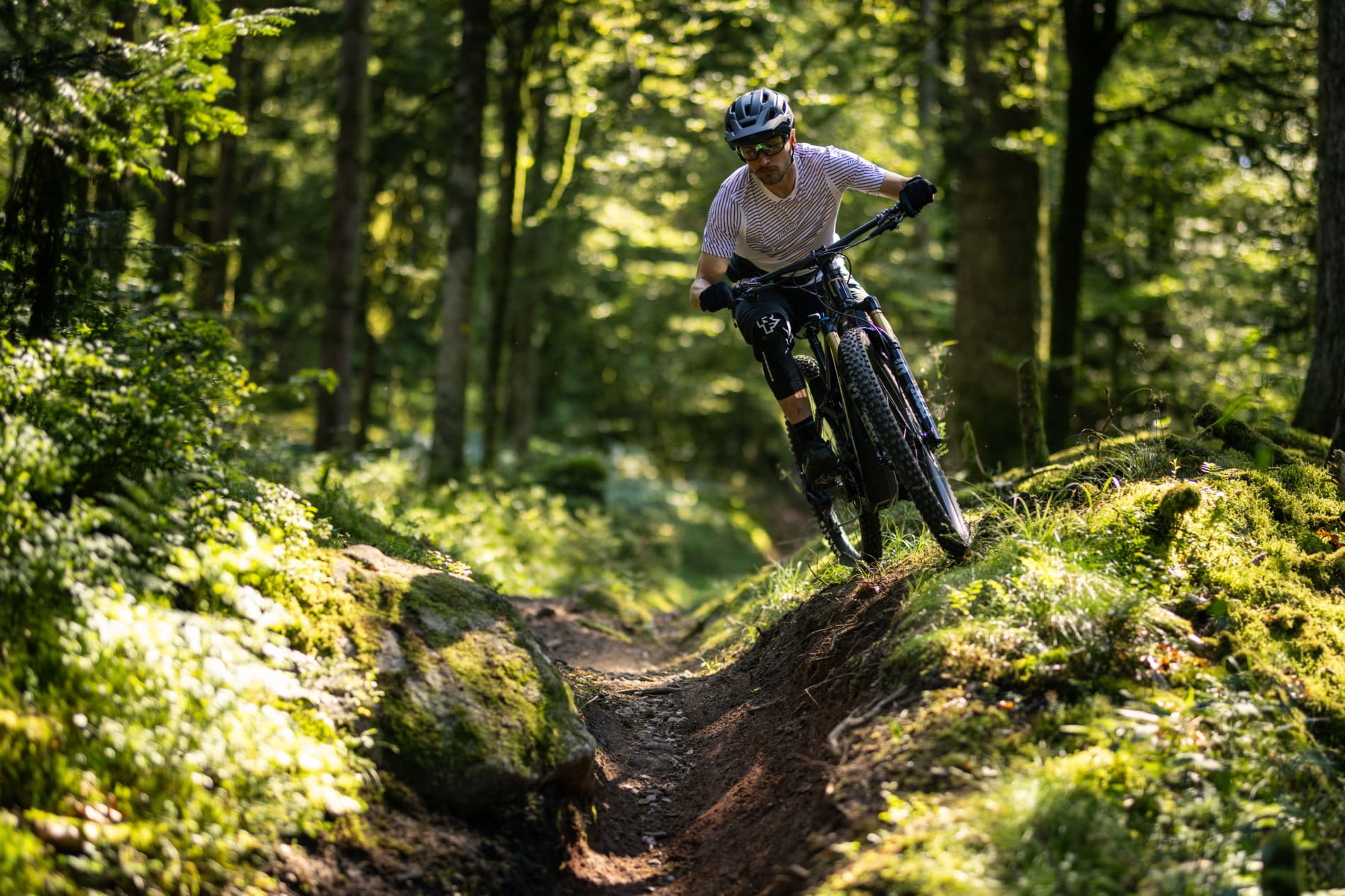 VTT électriques 2025 : notre top 8 des meilleurs e-MTB pour tous les budgets