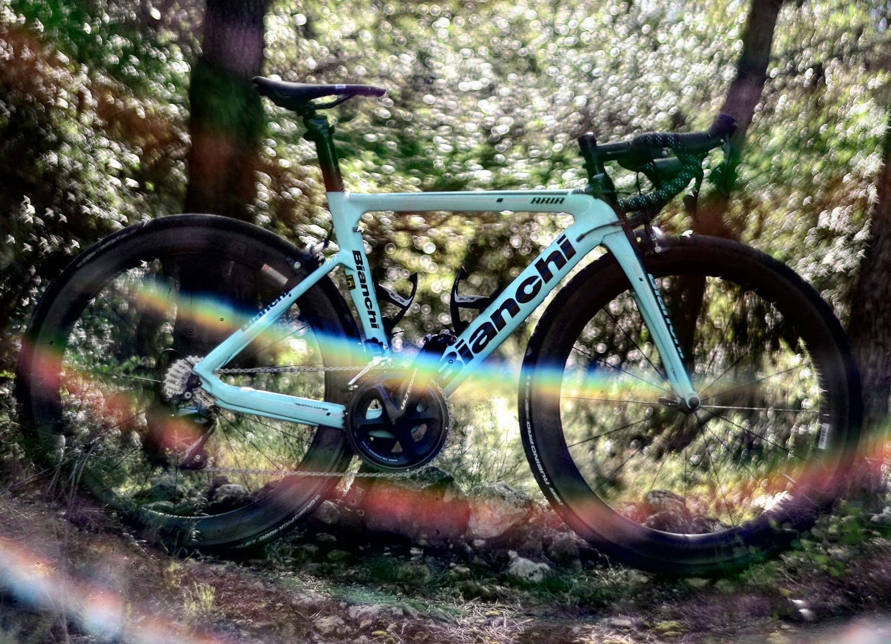 Les meilleures marques de vélos de route en 2025 : le Top 10