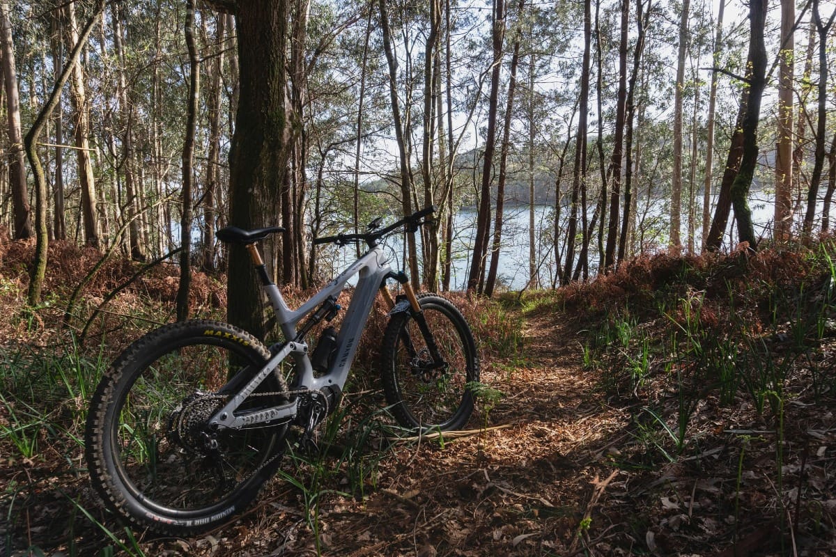 Le 3 Canyon perfette per principianti in MTB