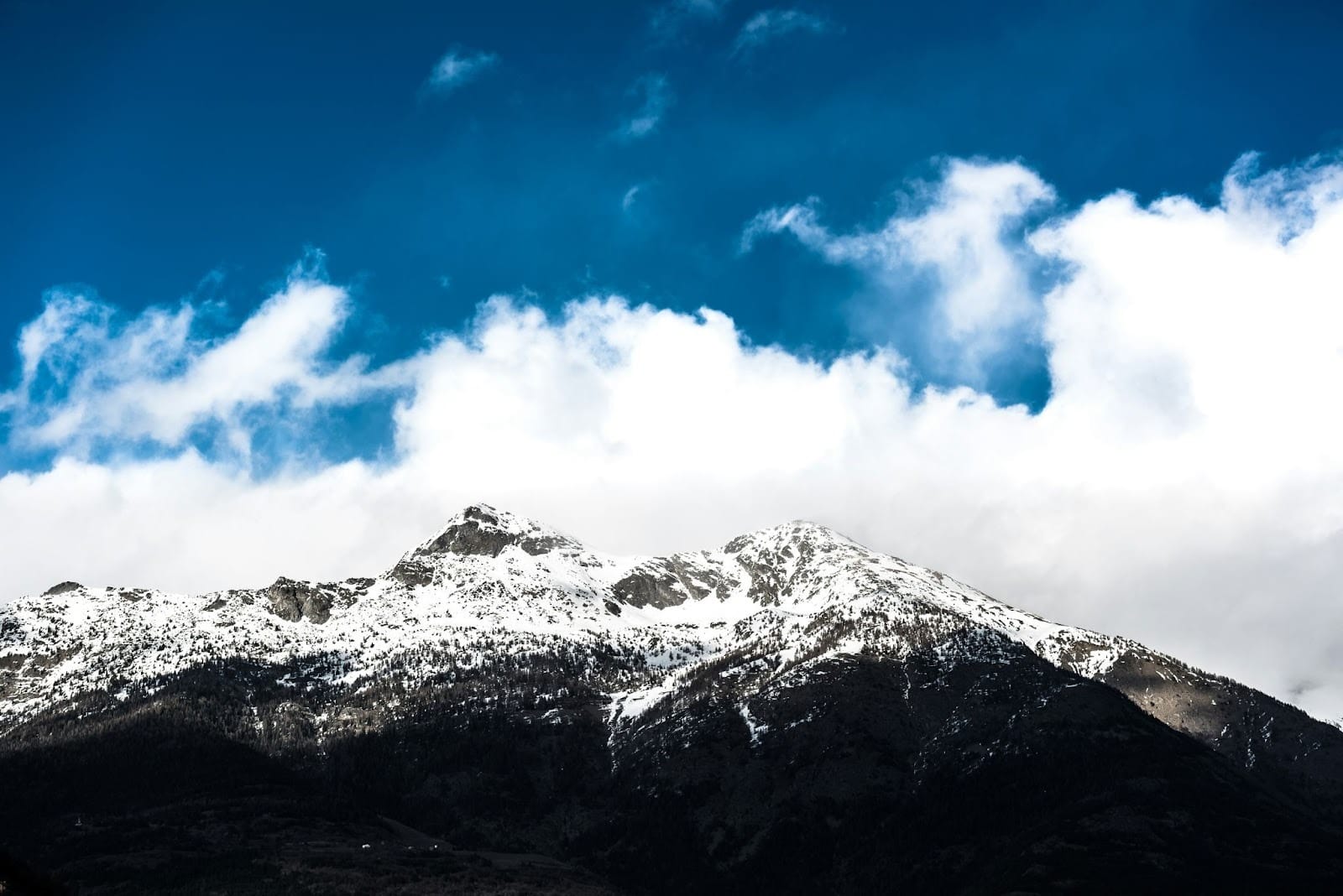 Photo by Piermanuele Sberni&nbsp; via Unsplash