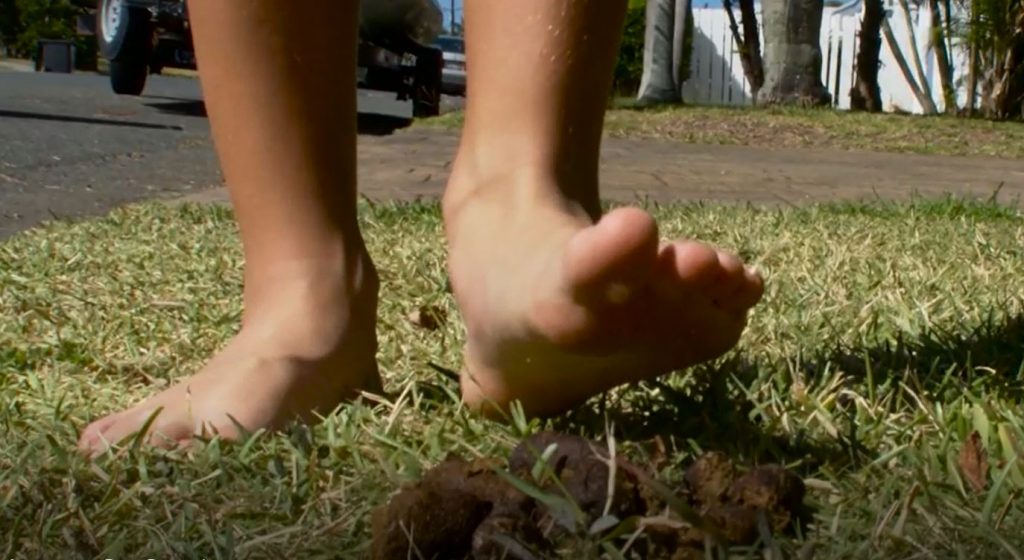Stepping on Dog Poop Equals “Good Luck” Superstition | Got Poo? Pet Waste Removal & Pet Services