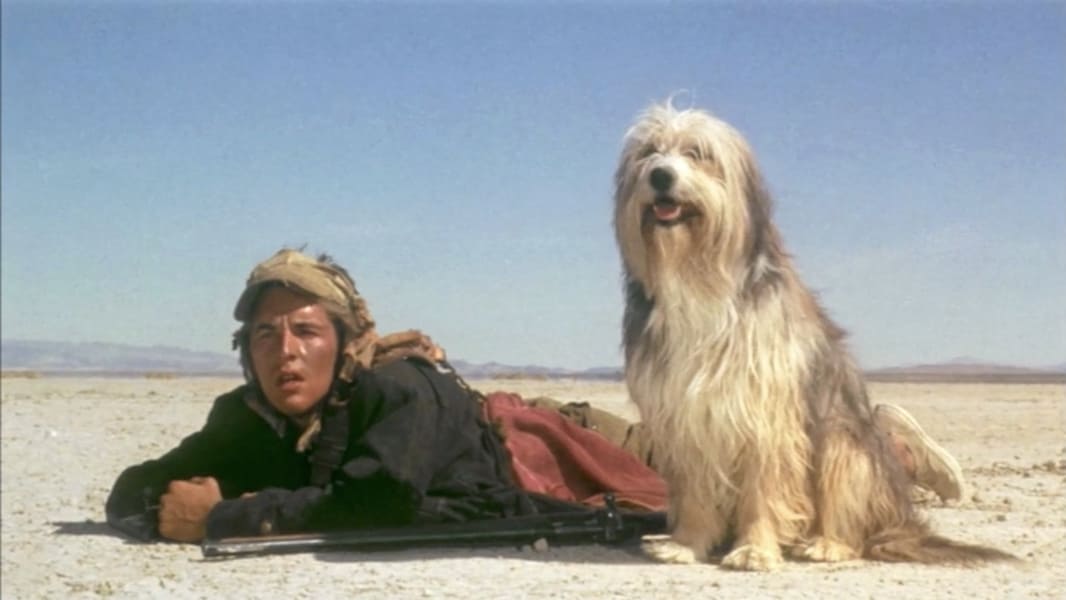 A Boy and His Dog (1975) — The Movie Database (TMDB)
