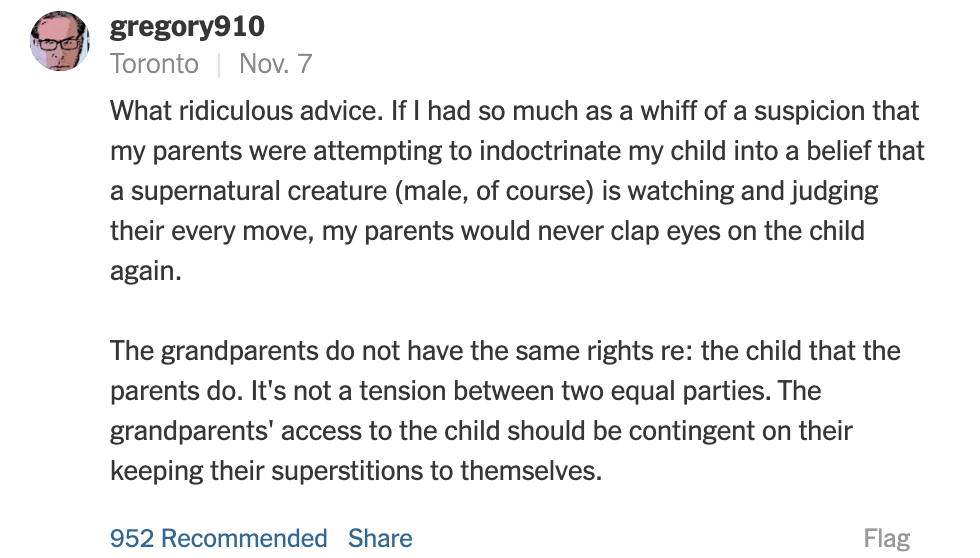 image of a comment from the NY Times