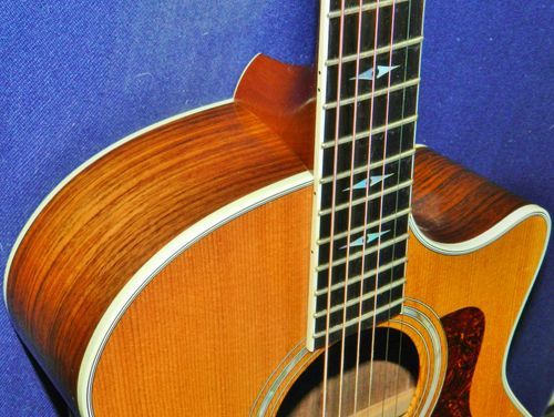 The Taylor on the wall