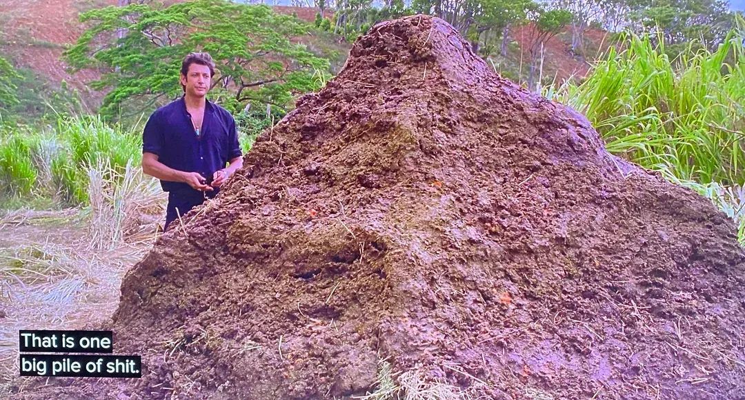 AYFKM: This is the biggest steaming pile of dung I have ever seen