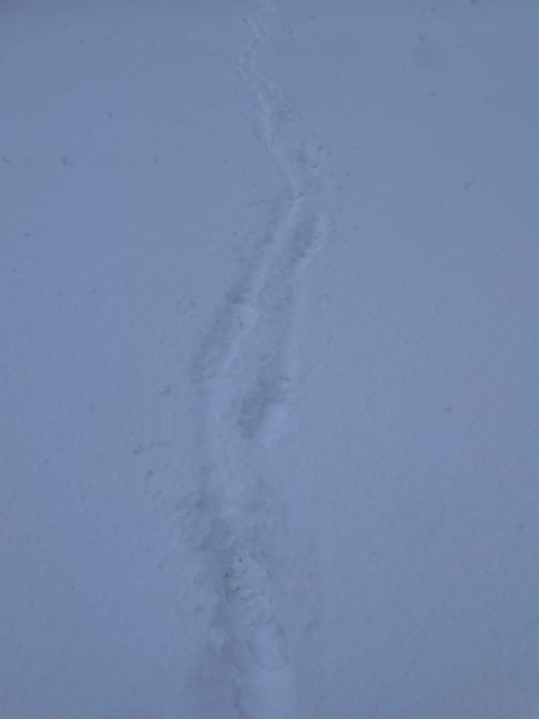 A trail of footprints leading forward through a snow-covered ground, into the distance.