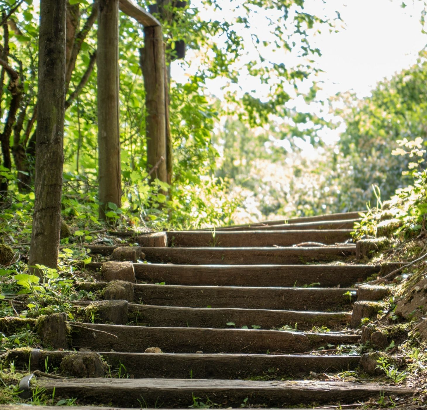 The 4 Stages of Life [#16]