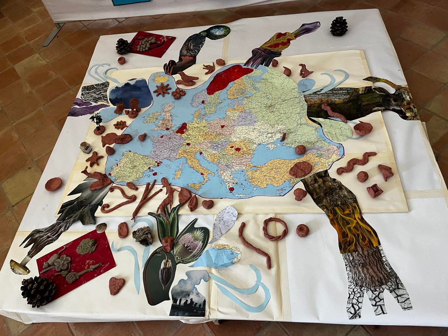 What 24 Bioregions Taught Me About Weaving, Wisdom and Listening [#37]