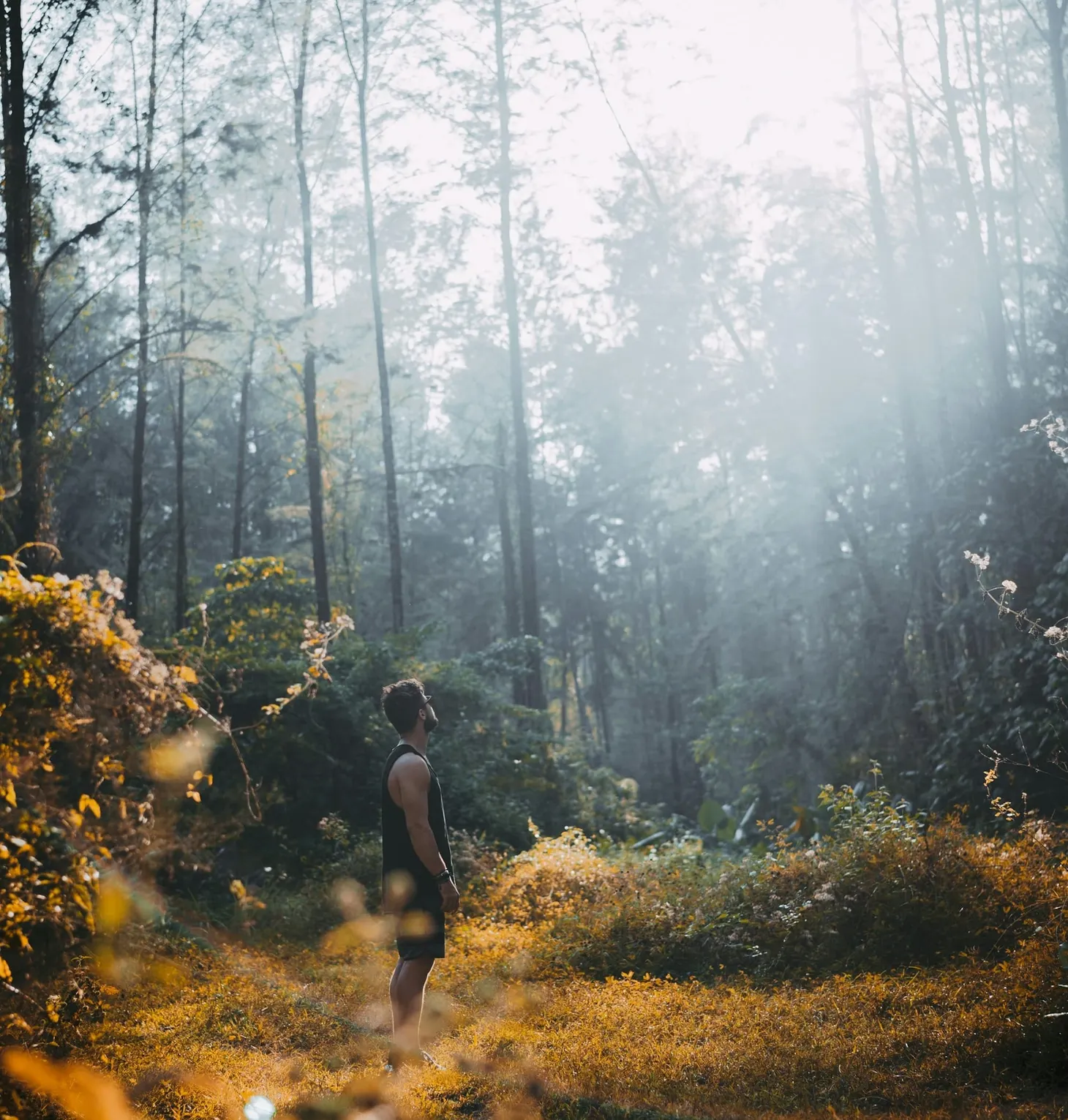 What Is the Role of Humans in the World? [#25]