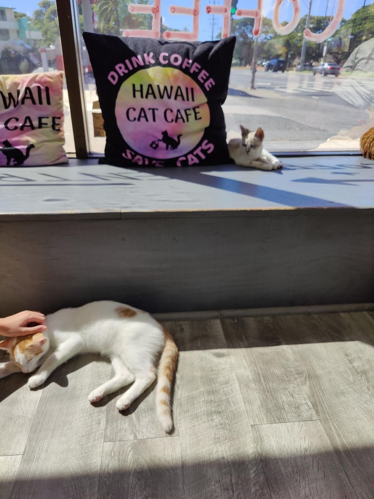 How a heavy wind took us from Reykjavík to Honolulu