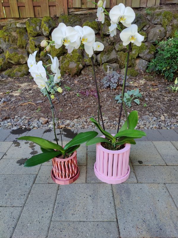 Crafting Green Spaces - Welcome to Our Journey