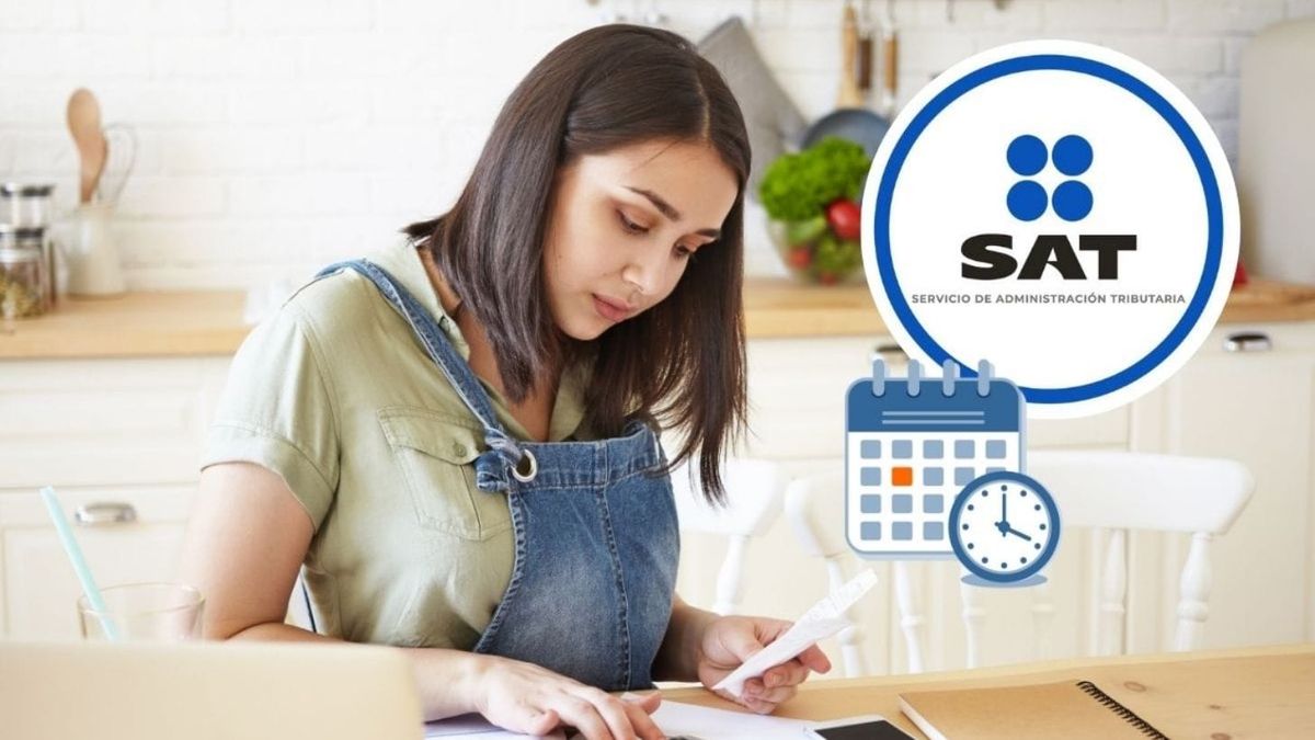 Declaración Anual 2024