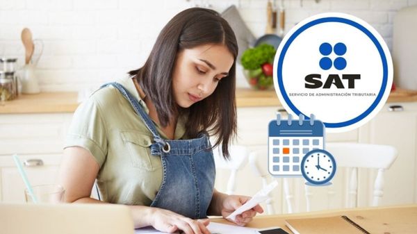 Declaración Anual 2025