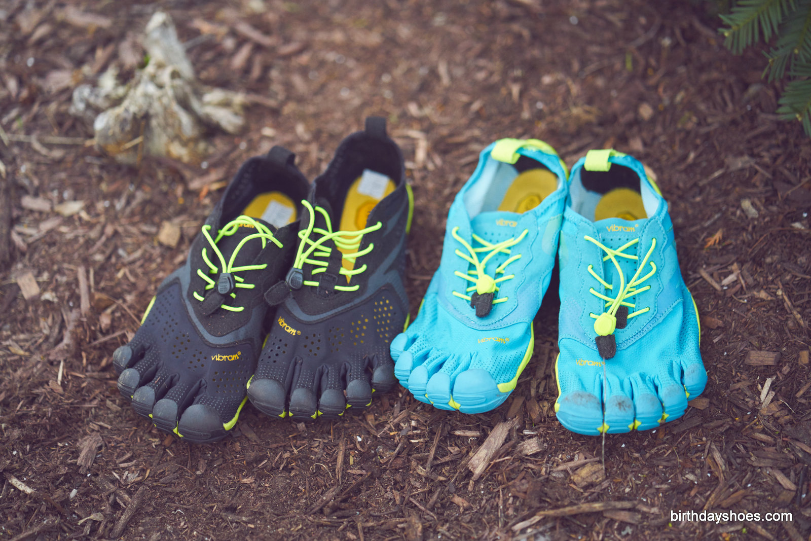 V-RUN and its dad, the Bikila EVO