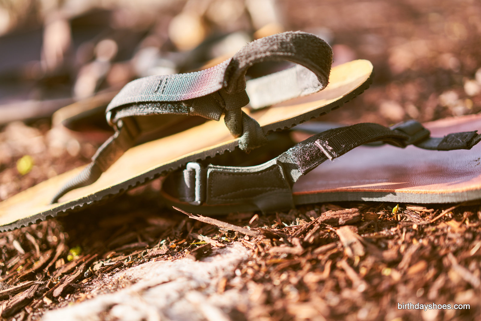 The new leather insole post and the old looped insole of the previous gen JC