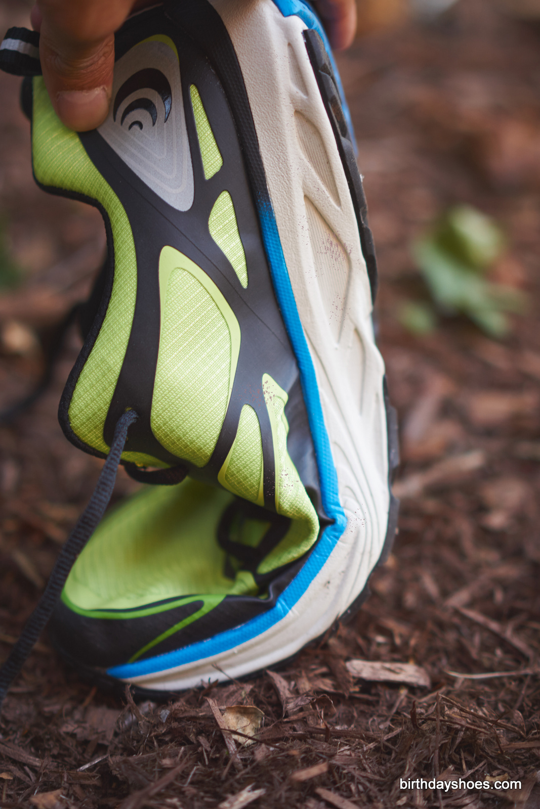 Fli-Lyte flex test (or lack thereof)