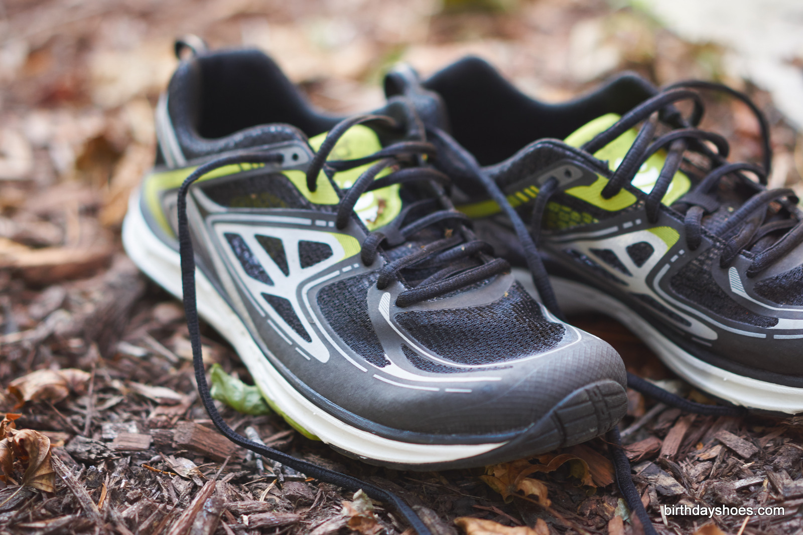 Topo's flagship, the Tribute